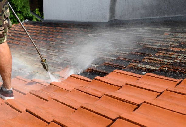 Best Sidewalk Pressure Washing  in Ash Grove, MO