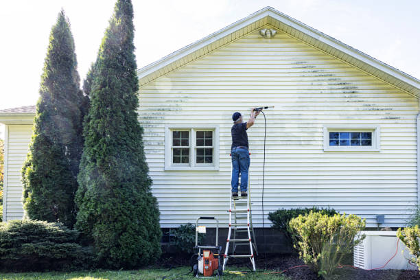 Best Deck Cleaning Services  in Ash Grove, MO
