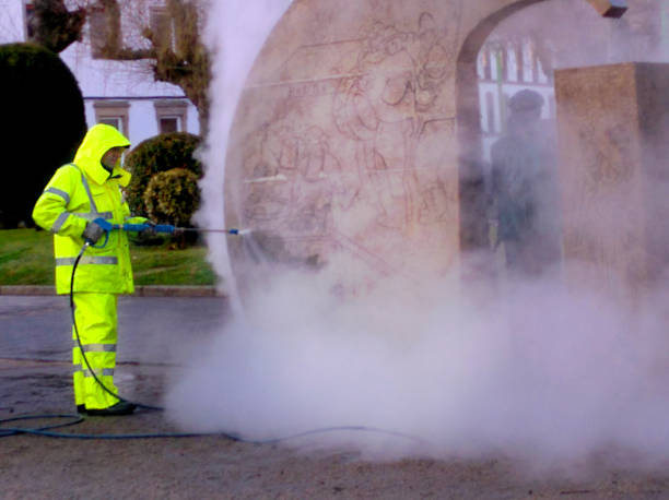 Best Pressure Washing Near Me  in Ash Grove, MO